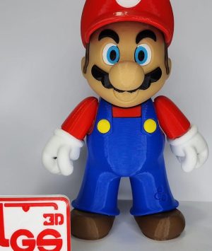 19-08 Leonardo gulino 1